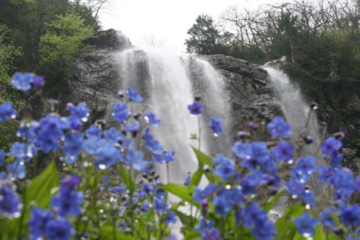  Artvin Arhavi Mençuna Şelalesi